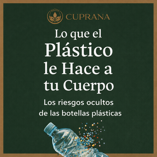 Guía GRATIS: Qué hace el plástico a tu cuerpo