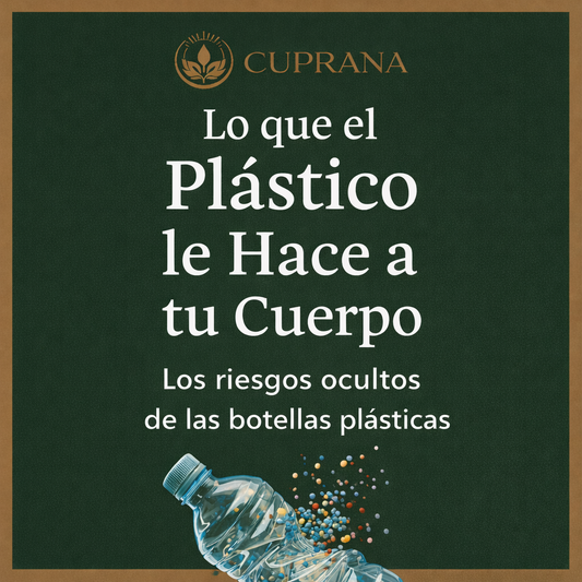 Guía GRATIS: Qué hace el plástico a tu cuerpo
